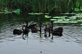 亮庞图片,时光倒流的千年之谜